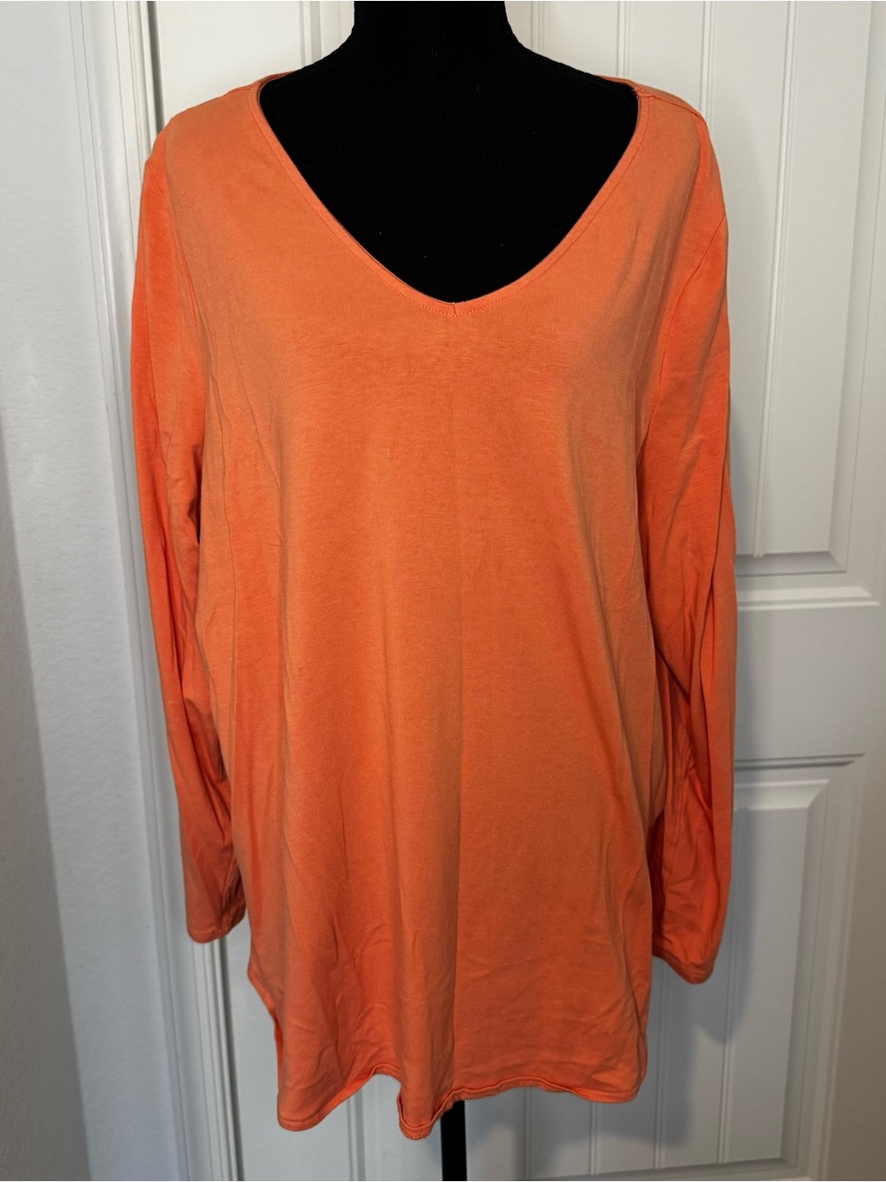 Watercolor Long Sleeve TripleLuxe Knit Top